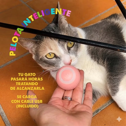 Pelota Inteligente PARA GATOS