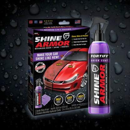 PROTECTOR DE PINTURA – Brillo profundo, protección duradera y acabado profesional en minutos